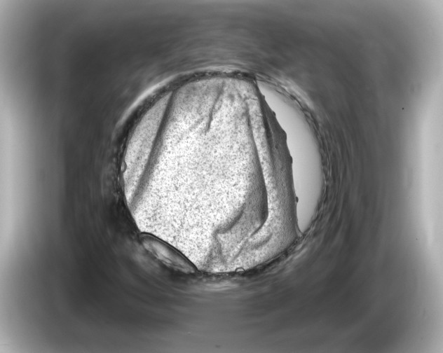 X0000085771256200704091346