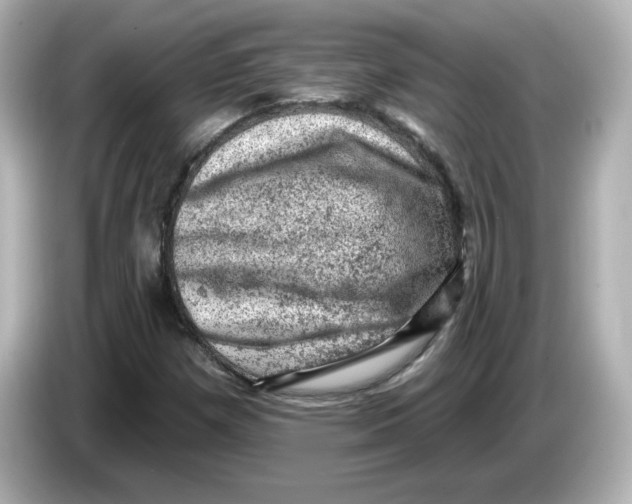 X0000085771257200704091346