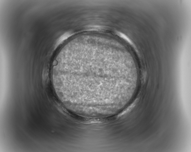 X0000085771259200704091346