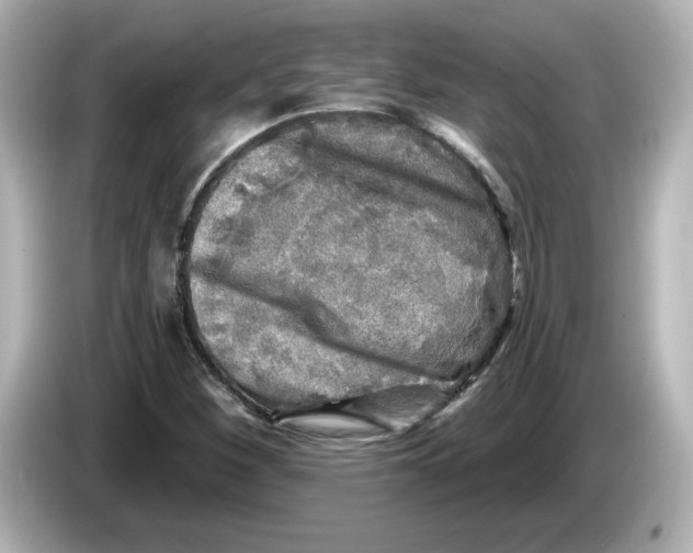 X0000085771260200704091346