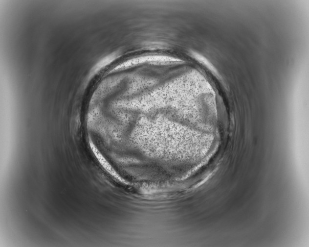 X0000085771261200704091346