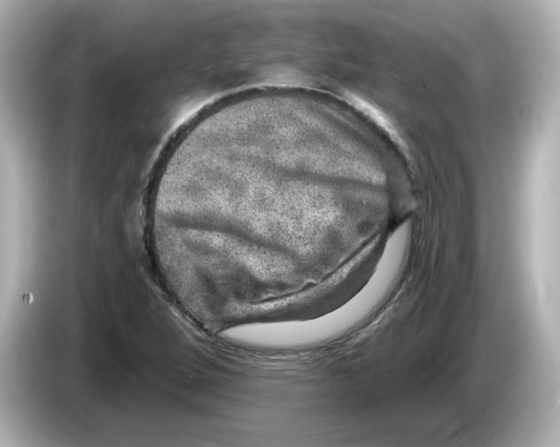 X0000085771264200704091346