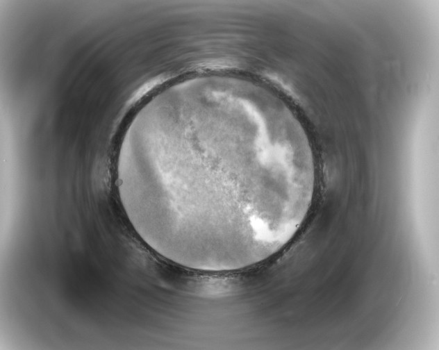 X0000085771266200704091346