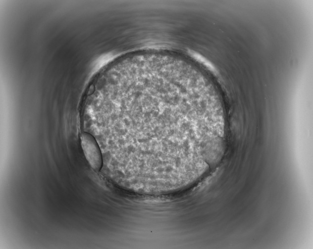 X0000085771267200704091346