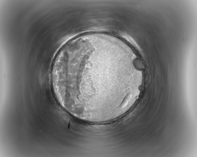 X0000085771268200704091346