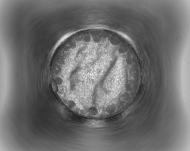 X0000085771271200704091346