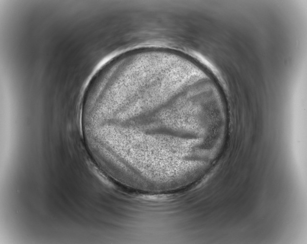 X0000085771272200704091346