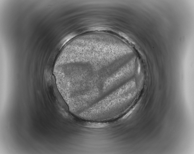 X0000085771273200704091346