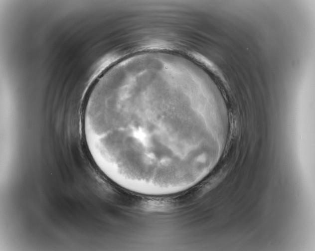 X0000085771274200704091346