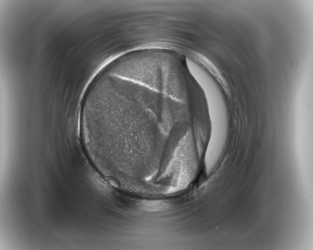 X0000085771276200704091346