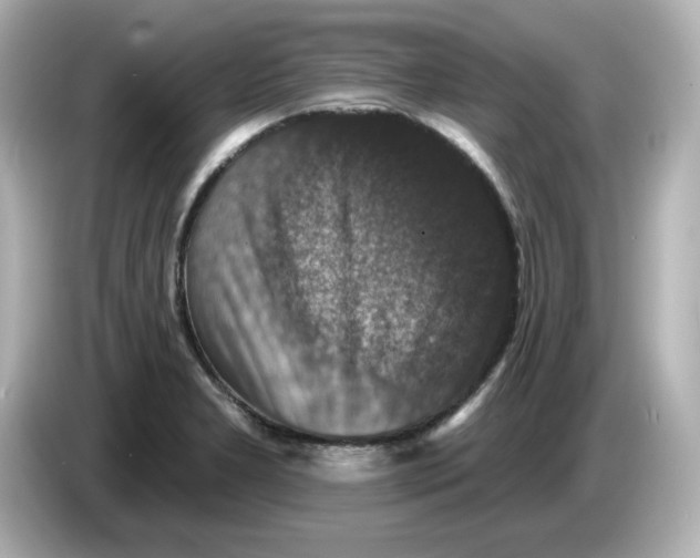 X0000085771277200704091346