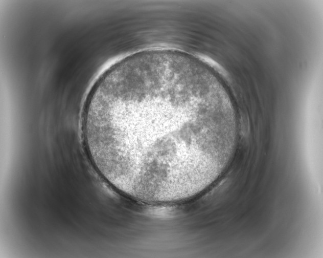 X0000085771278200704091346