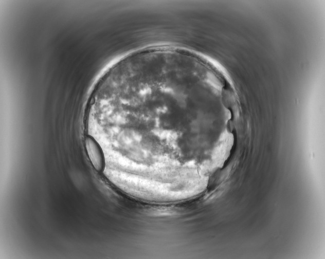 X0000085771279200704091346