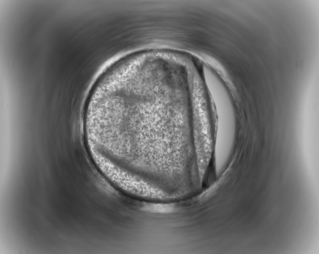 X0000085771280200704091346