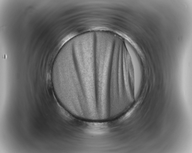 X0000085771281200704091346