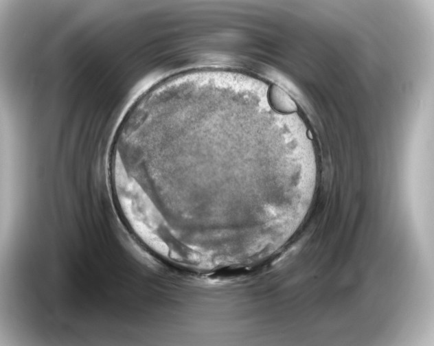 X0000085771283200704091346