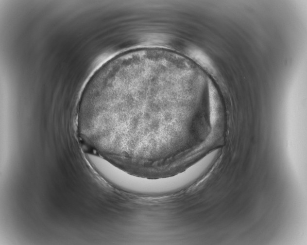 X0000085771284200704091346