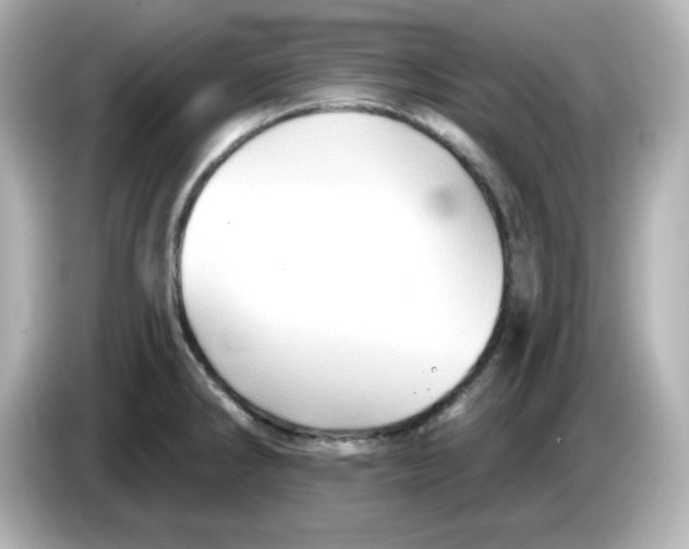 X0000085771286200704091346