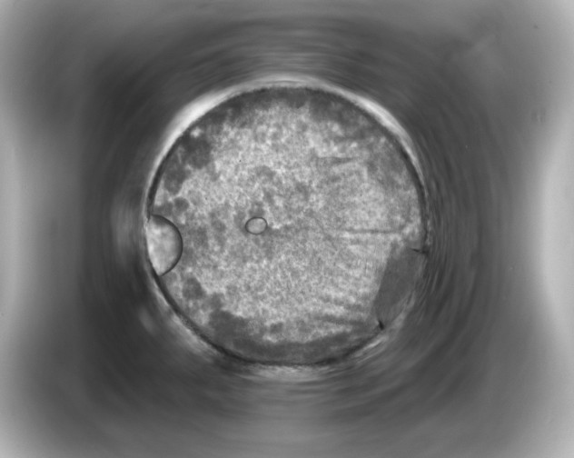 X0000085771287200704091346