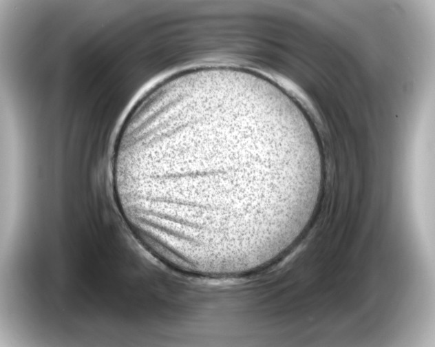 X0000085771288200704091346