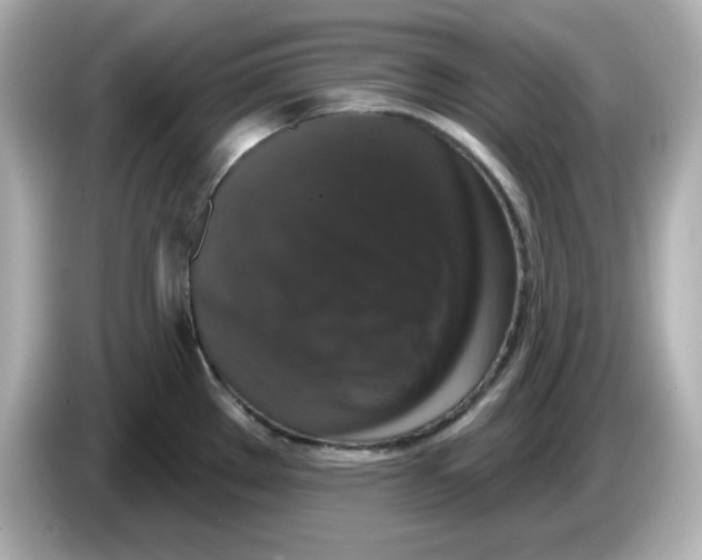 X0000085771289200704091346