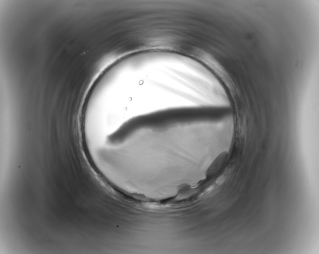 X0000085771291200704091346