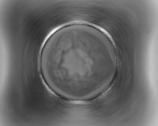 X0000085771295200704091346