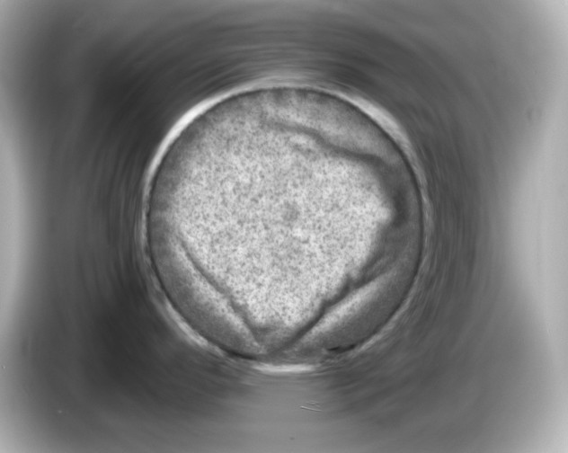 X0000085771296200704091346