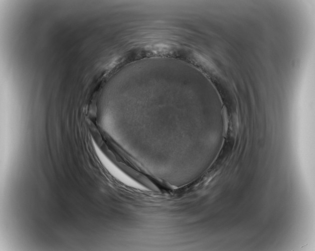 X0000085771298200704091345