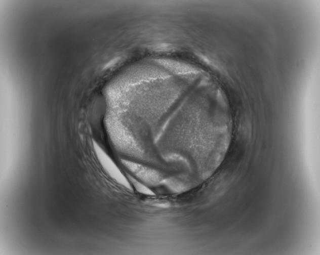 X0000085771301200704091345