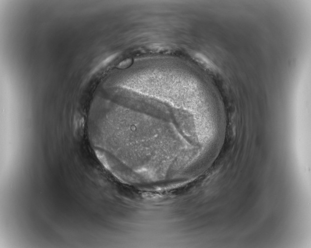 X0000085771302200704091345