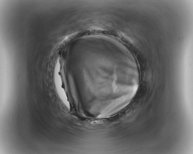 X0000085771303200704091345