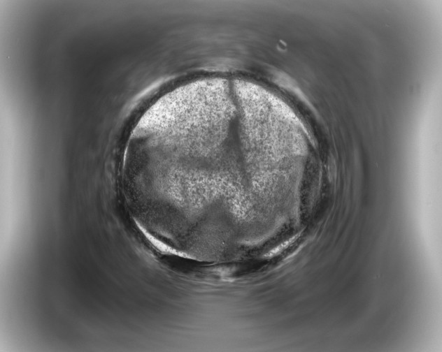 X0000085771304200704091345