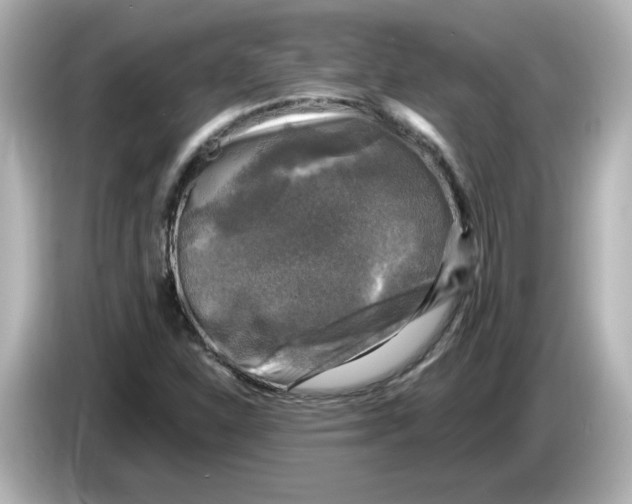 X0000085771310200704091345