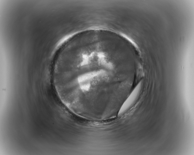 X0000085771311200704091345