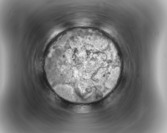 X0000085771314200704091345