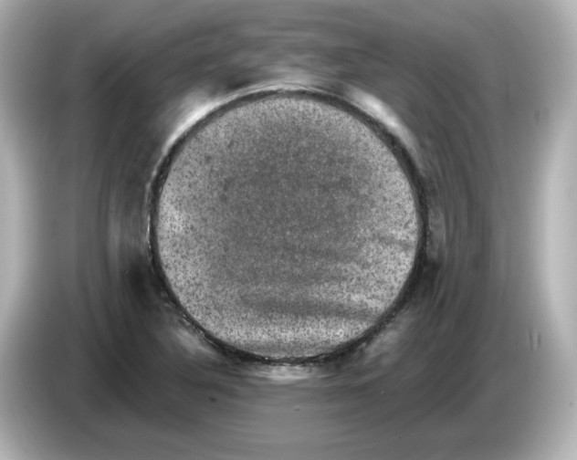 X0000085771316200704091345