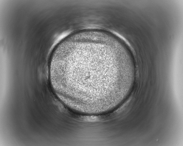 X0000085771317200704091345