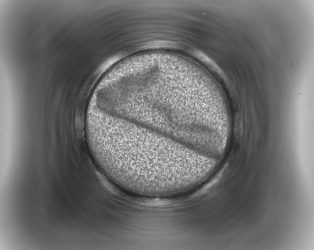 X0000085771321200704091345