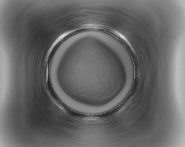 X0000085771323200704091345