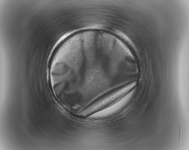 X0000085771324200704091345