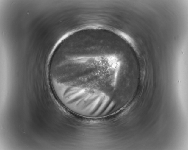 X0000085771326200704091345