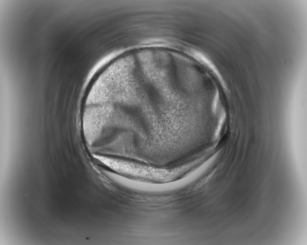 X0000085771328200704091346