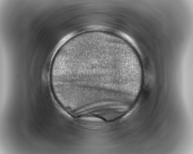 X0000085771330200704091346