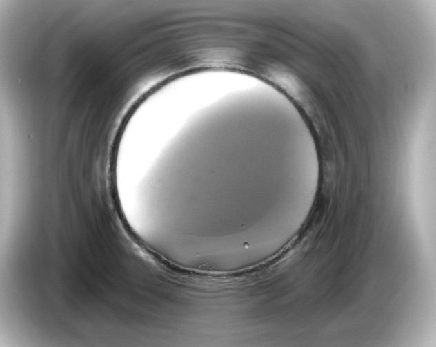 X0000085771331200704091346