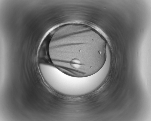 X0000085771332200704091346