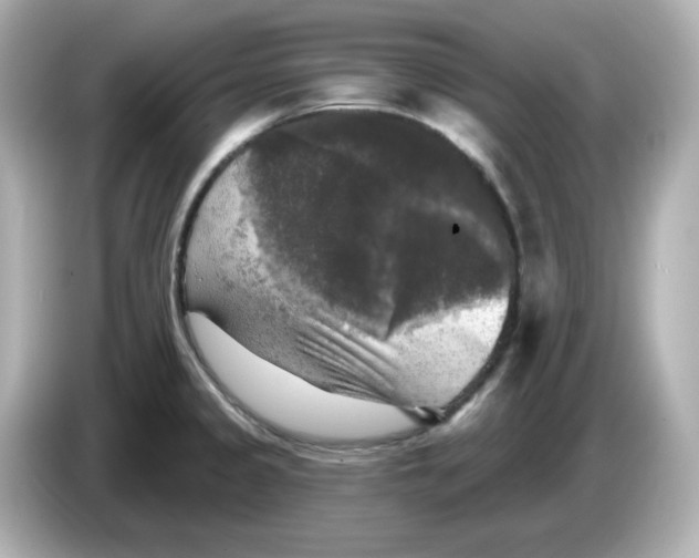 X0000085771333200704091346