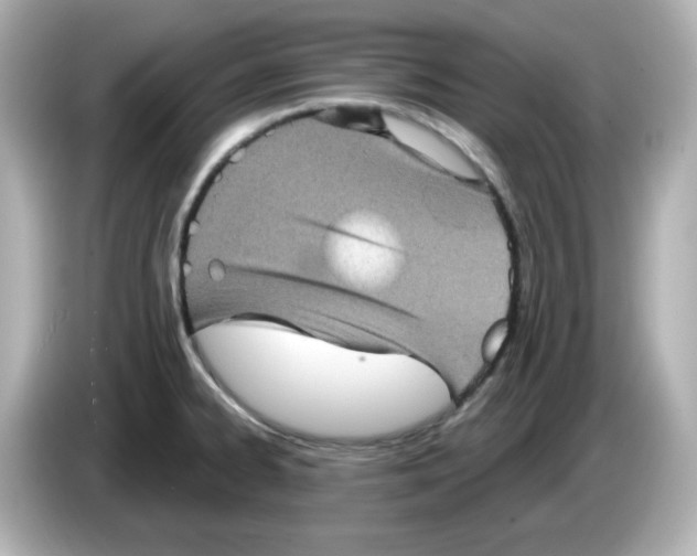 X0000085771334200704091346