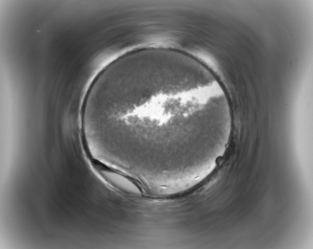 X0000085771335200704091346