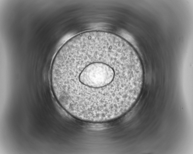 X0000085771338200704091346